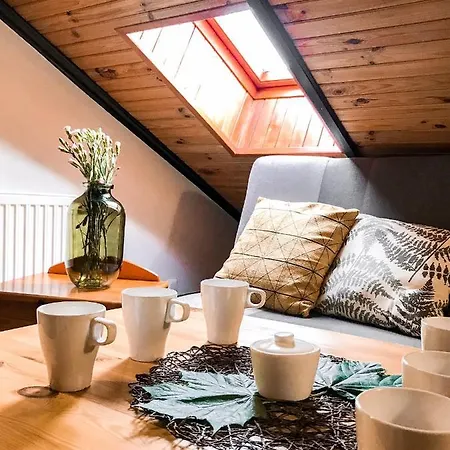 Pod Skocznia 홈스테이 *