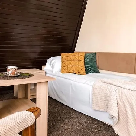 Pod Skocznia Homestay